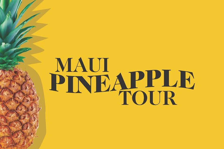 Maui Pineapple Tour - 1.5 Hour Farm Tour in Haliimaile - Photo 1 of 14